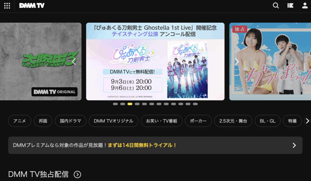 DMM TV